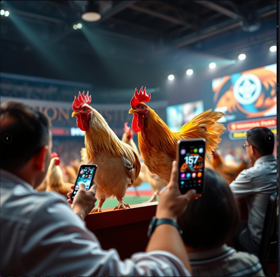 Bandar Sabung Ayam Online Terpercaya 2025 – Adu Strategi!